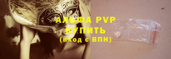 шишки Белоозёрский